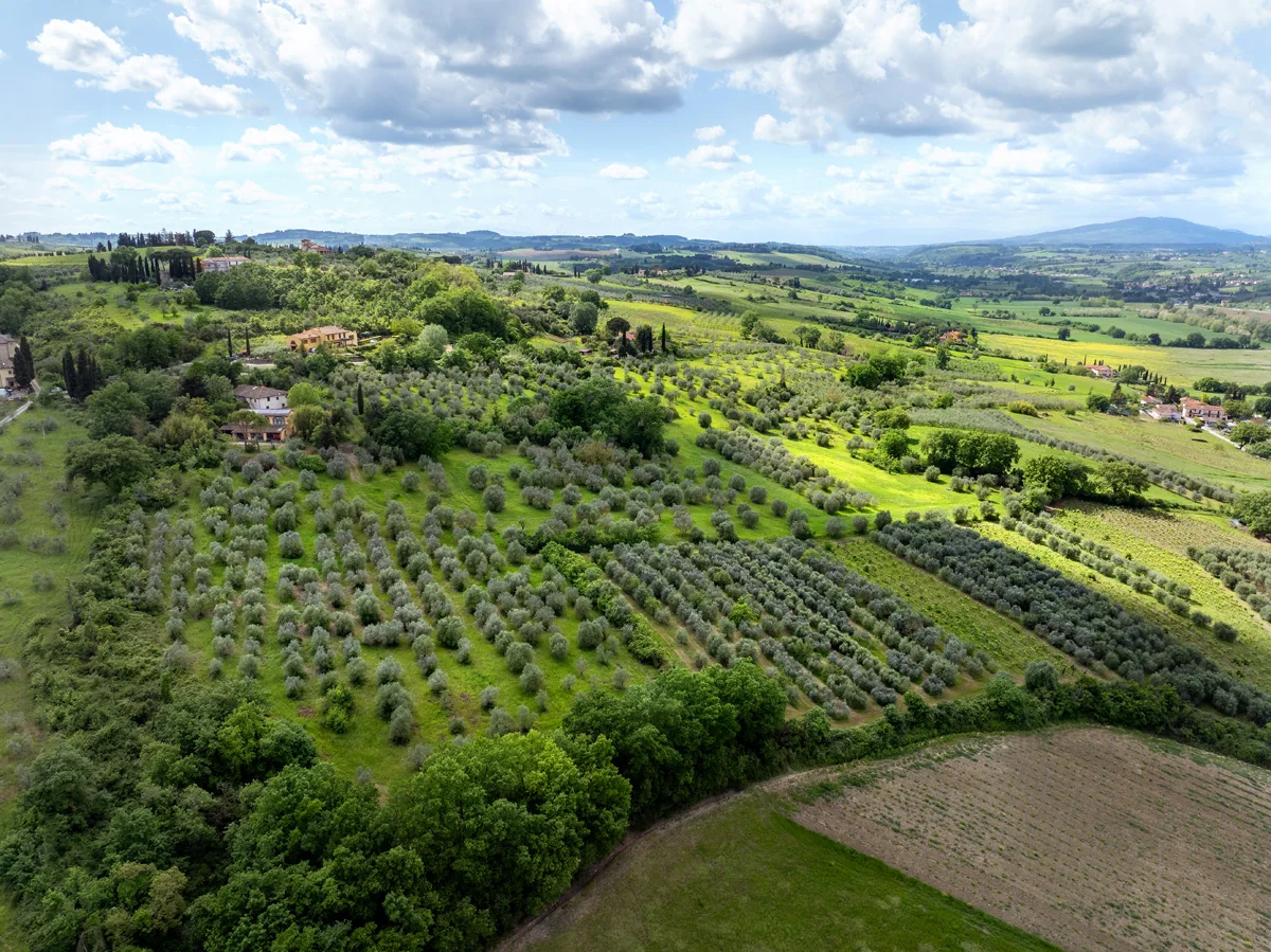 servizio fotografico drone dji